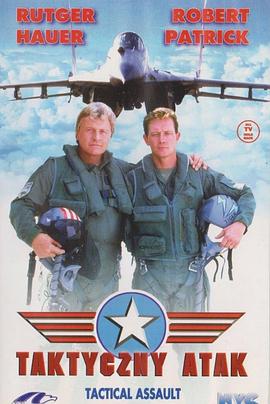 F16空中战将HD国语