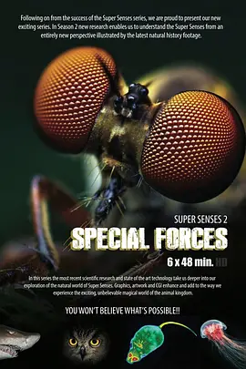 动物特种部队第1集