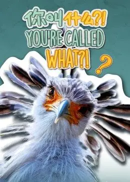 你叫什么?(英)第01集