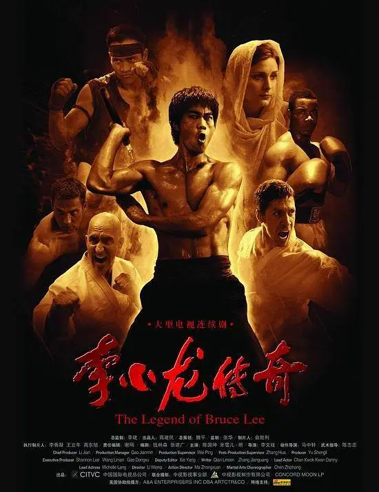 李小龙传奇 2008(全集)